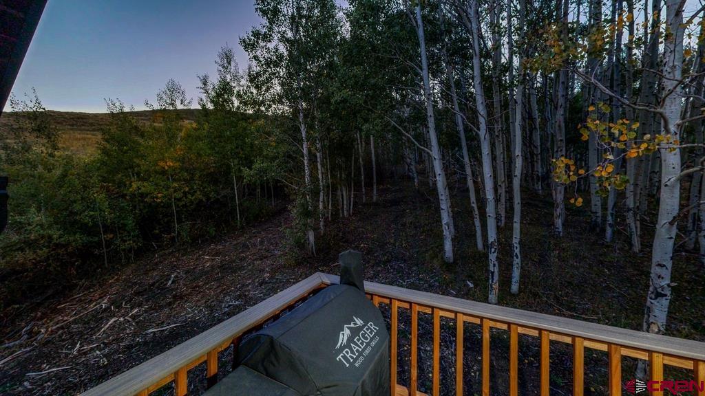 44 Spruce Mountain Trail Ridgway CO 81432