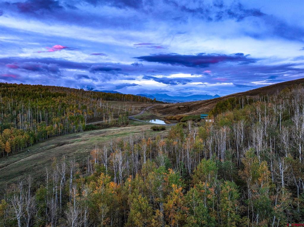 44 Spruce Mountain Trail Ridgway CO 81432