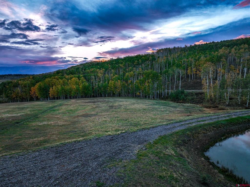 44 Spruce Mountain Trail Ridgway CO 81432