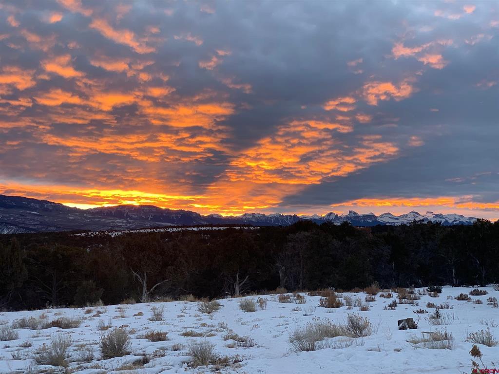 668 Pinyon Ridge Road Montrose CO 81403