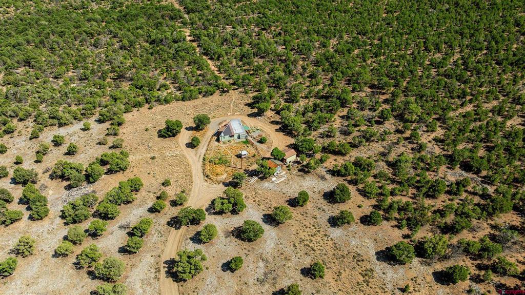 668 Pinyon Ridge Road Montrose CO 81403