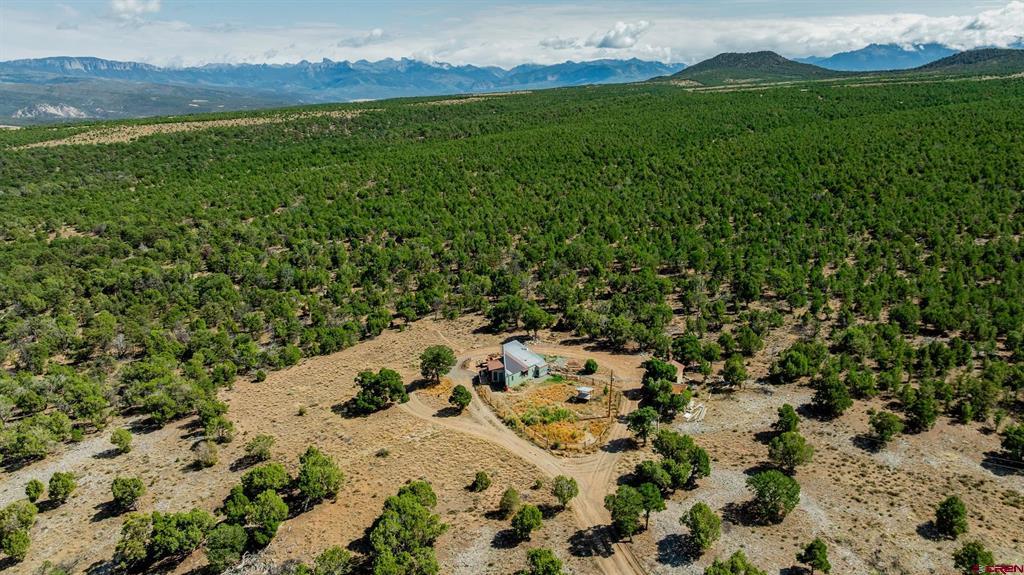 668 Pinyon Ridge Road Montrose CO 81403