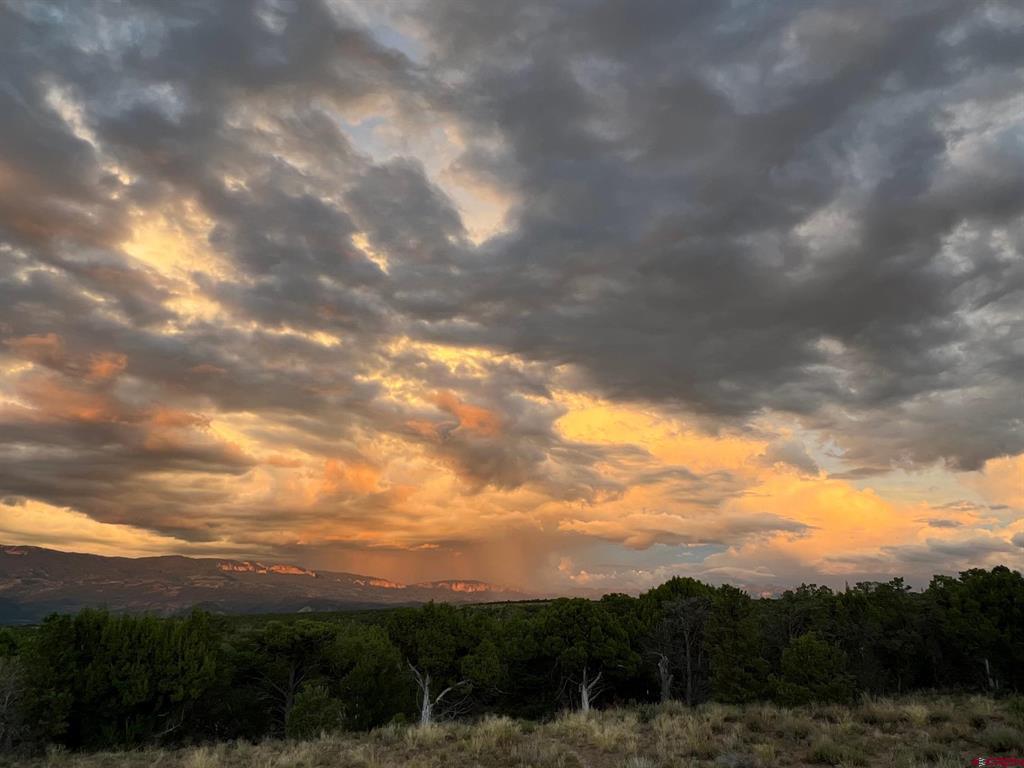 668 Pinyon Ridge Road Montrose CO 81403