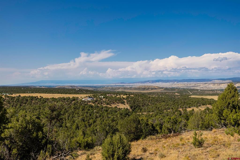 668 Pinyon Ridge Road Montrose CO 81403