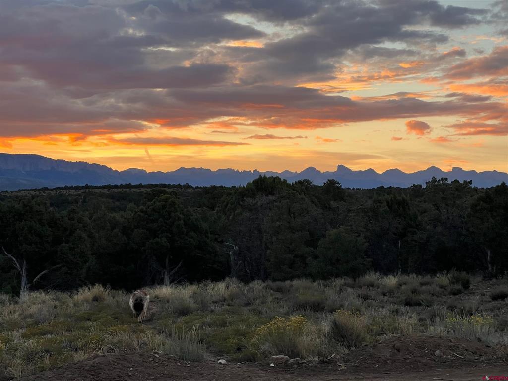 668 Pinyon Ridge Road Montrose CO 81403