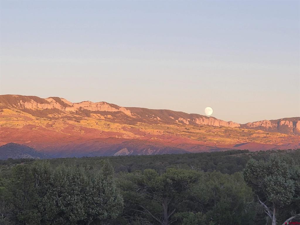 668 Pinyon Ridge Road Montrose CO 81403