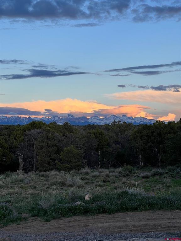 668 Pinyon Ridge Road Montrose CO 81403