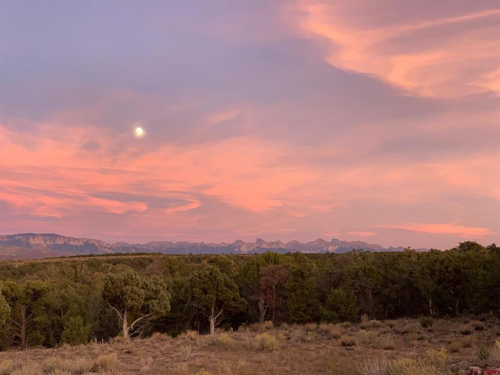 668 Pinyon Ridge Road Montrose CO 81403