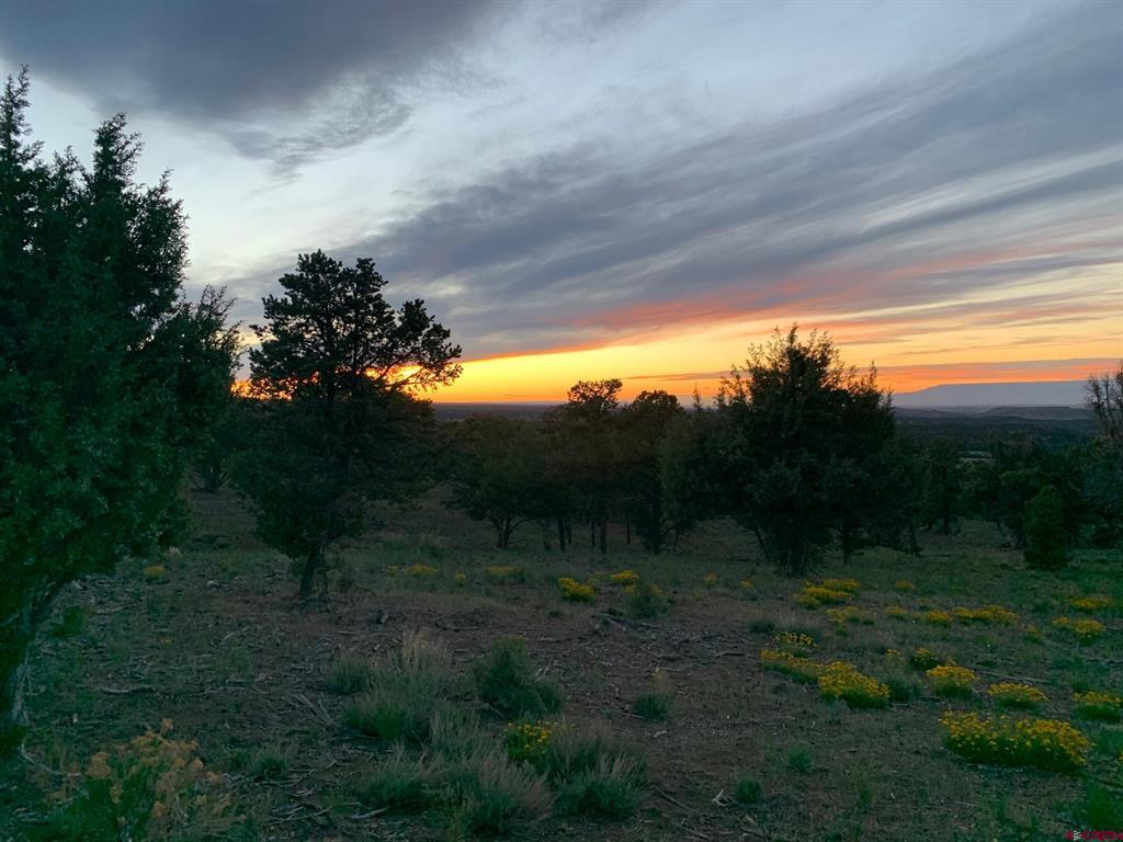 668 Pinyon Ridge Road Montrose CO 81403