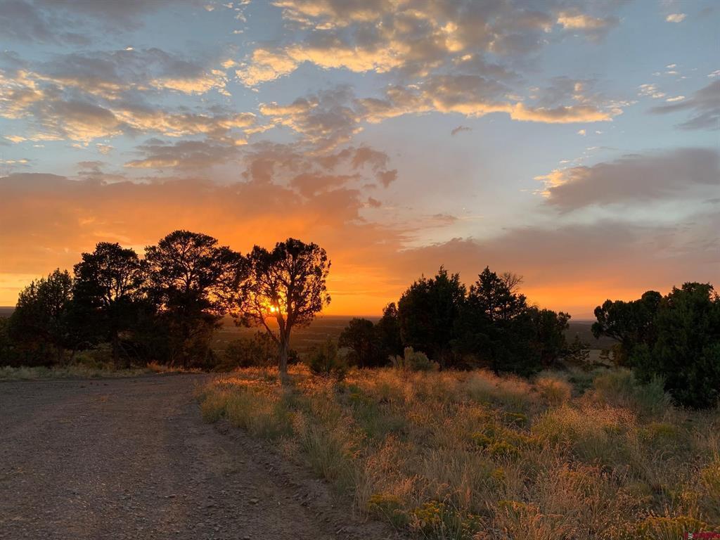 668 Pinyon Ridge Road Montrose CO 81403