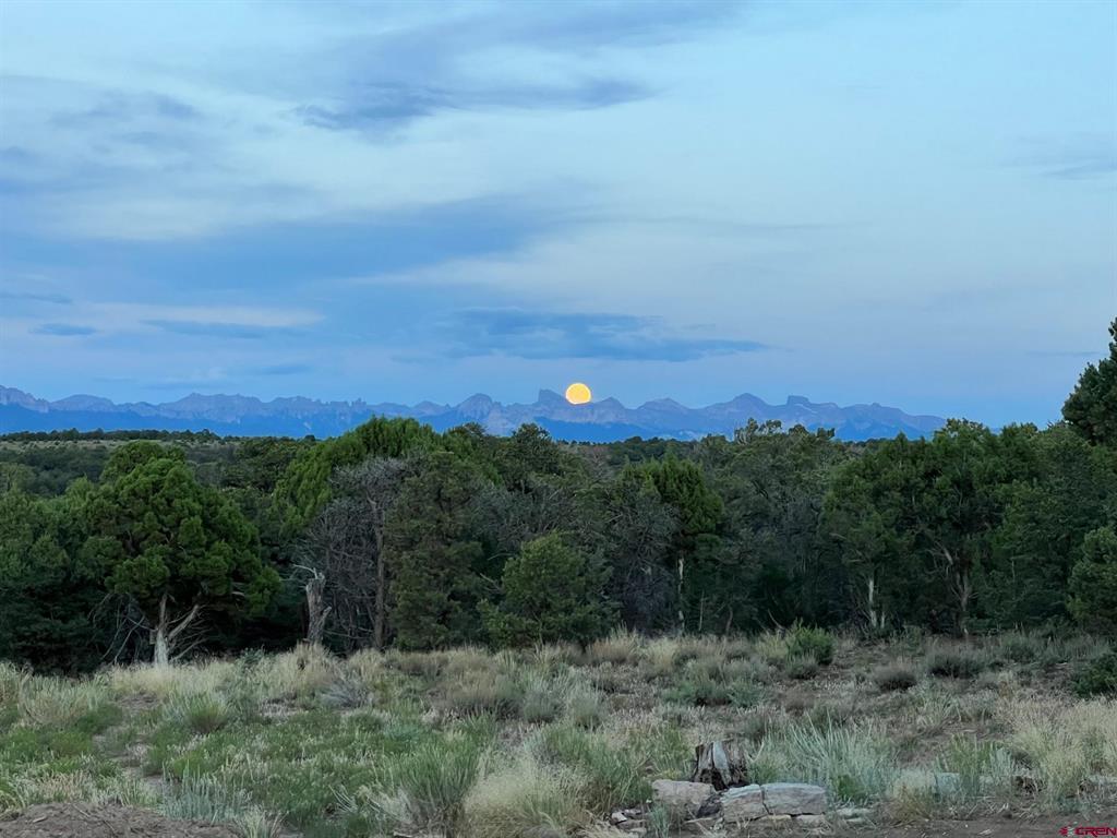 668 Pinyon Ridge Road Montrose CO 81403