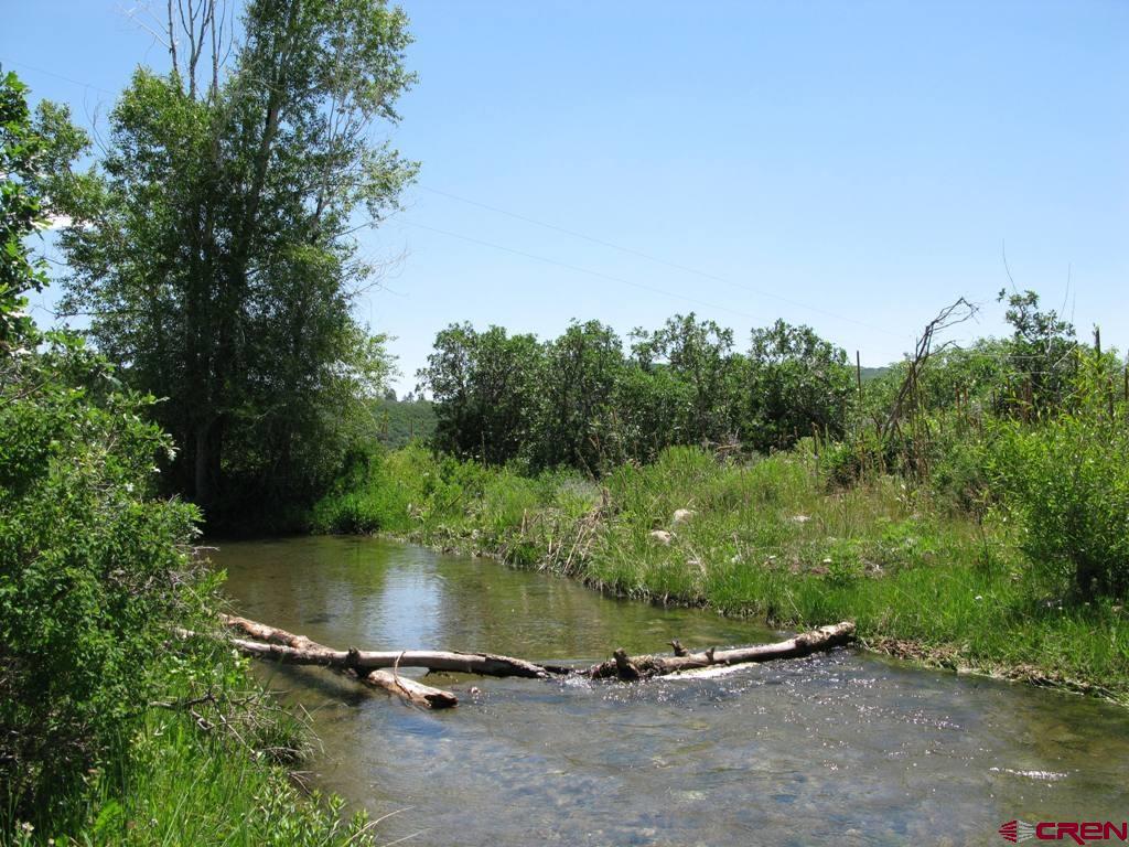 2544 Cr 124 Hesperus CO 81326