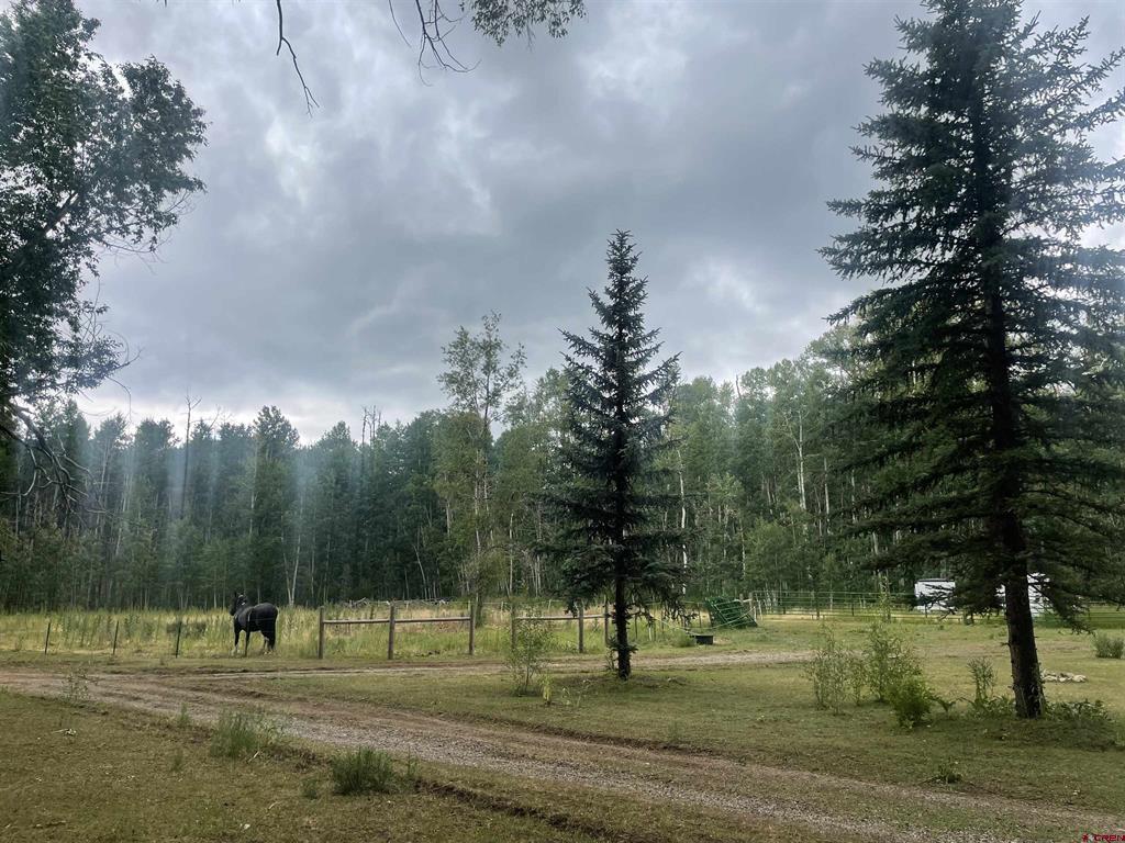 2544 Cr 124 Hesperus CO 81326