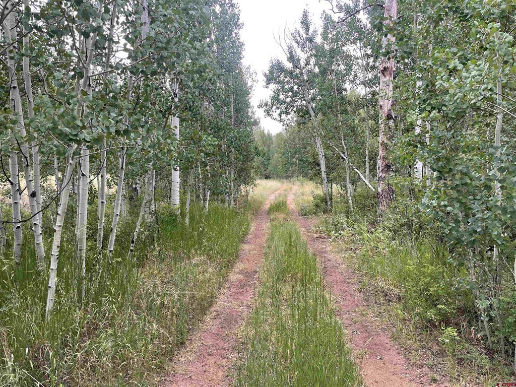 2544 Cr 124 Hesperus CO 81326