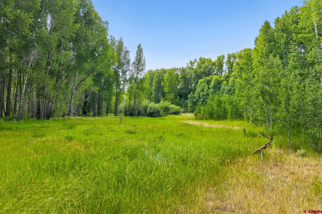 2544 Cr 124 Hesperus CO 81326