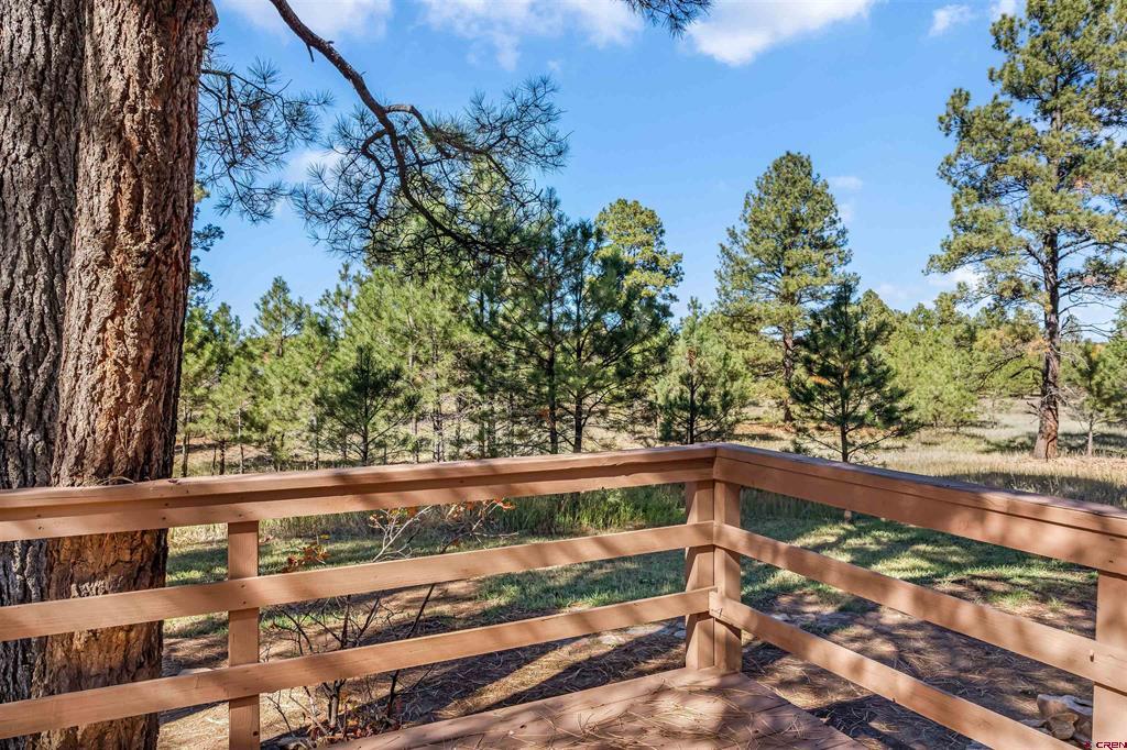 368 Fireside Street Pagosa Springs CO 81147