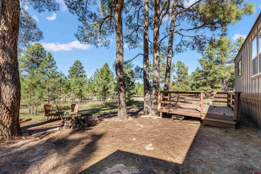 368 Fireside Street Pagosa Springs CO 81147