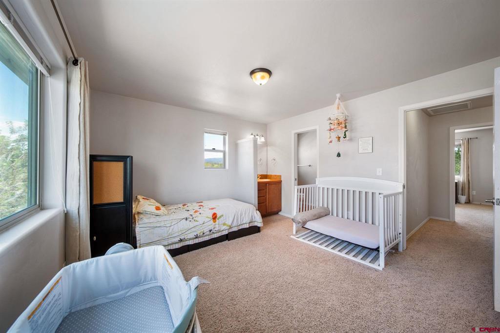 1314 Kremer Drive Bayfield CO 81122