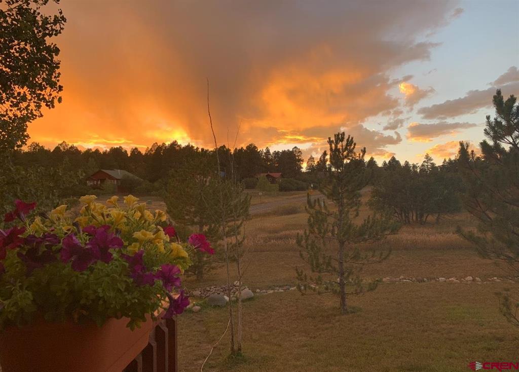32 Ermine Court Pagosa Springs CO 81147