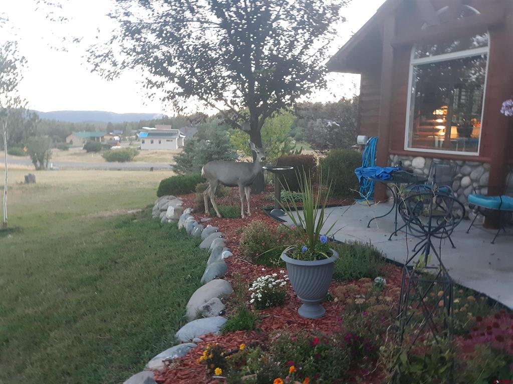 32 Ermine Court Pagosa Springs CO 81147