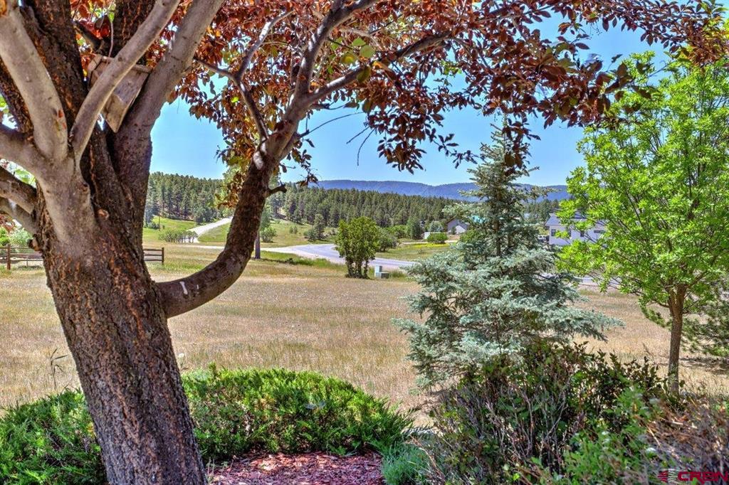 32 Ermine Court Pagosa Springs CO 81147