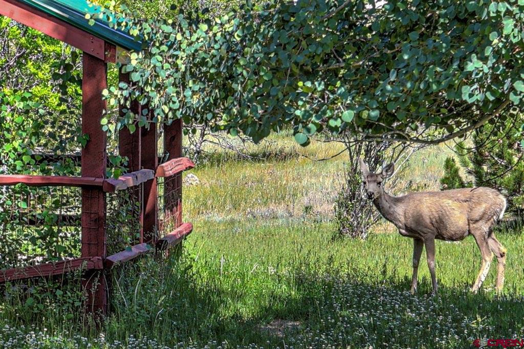 32 Ermine Court Pagosa Springs CO 81147