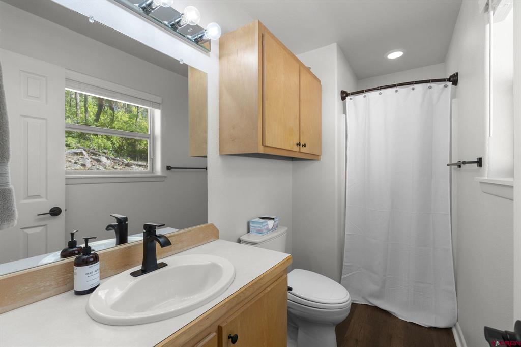 1175 Pine Tree Drive Bayfield CO 81122