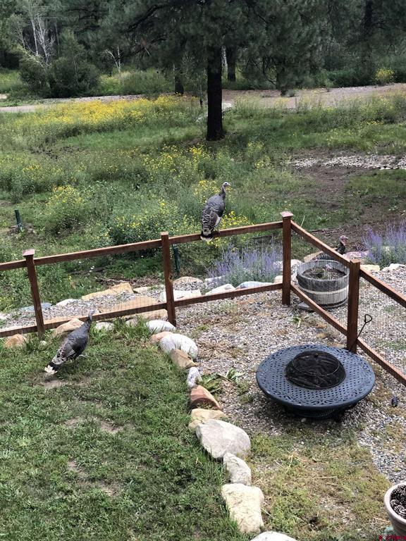 2277 Bear Creek Canyon Road Bayfield CO 81122