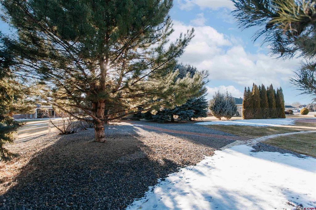 2806 Bluebell Court Montrose CO 81401