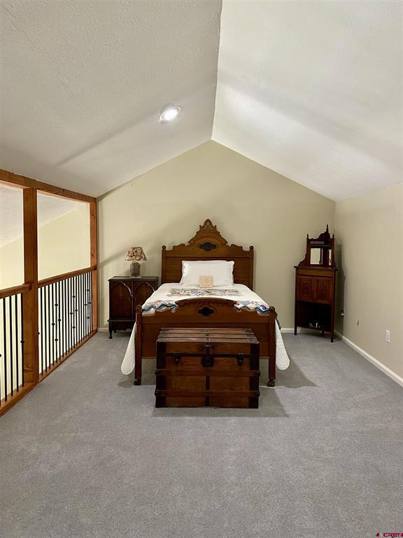 100 Camino Del Rio Gunnison CO 81230