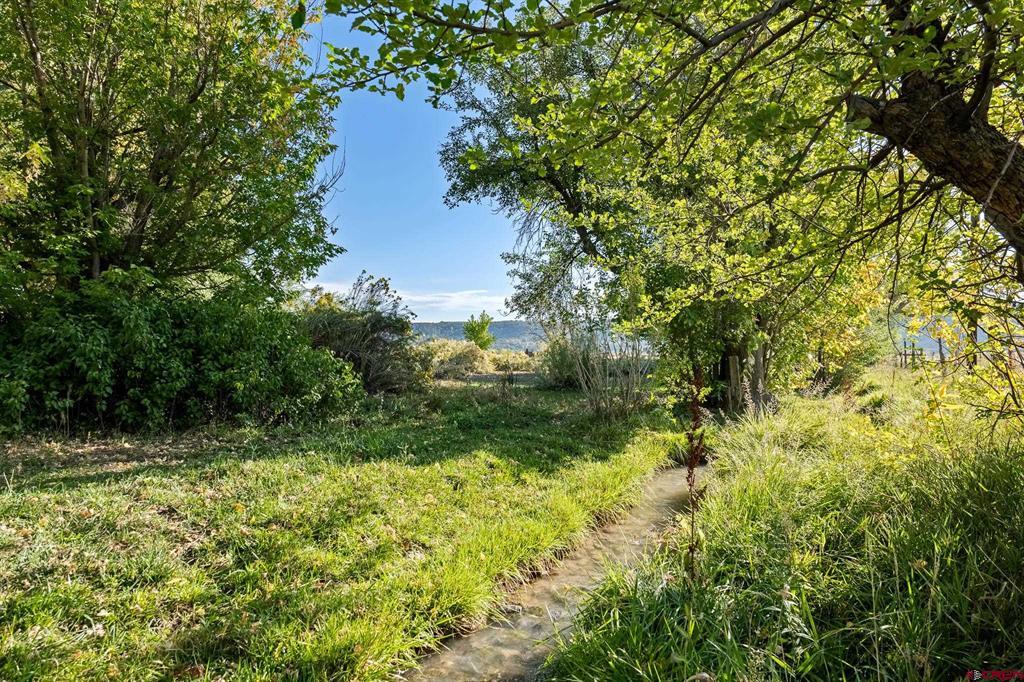 2597 County Road 213 Durango CO 81303