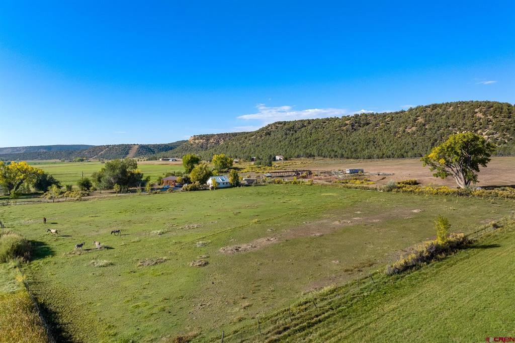 2597 County Road 213 Durango CO 81303