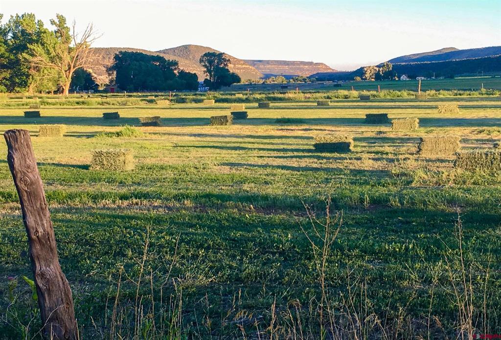 2597 County Road 213 Durango CO 81303