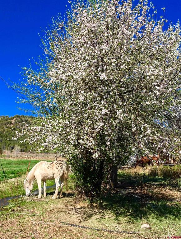 2597 County Road 213 Durango CO 81303