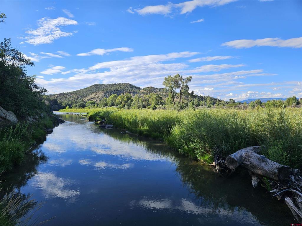 2597 County Road 213 Durango CO 81303