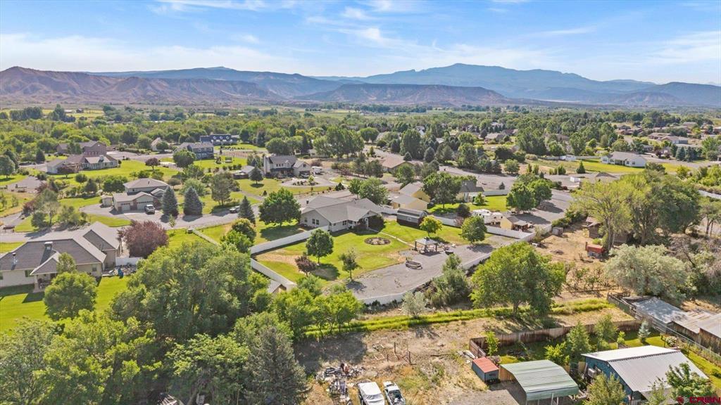 20677 Tulip Circle Montrose CO 81403