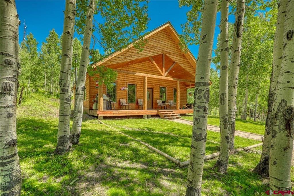 239 & 241 Spruce Glen Pagosa Springs CO 81147