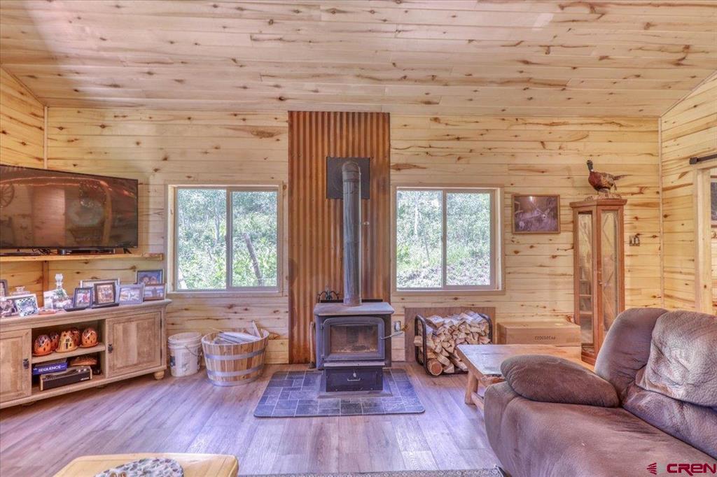 239 & 241 Spruce Glen Pagosa Springs CO 81147