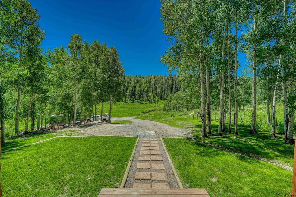 239 & 241 Spruce Glen Pagosa Springs CO 81147
