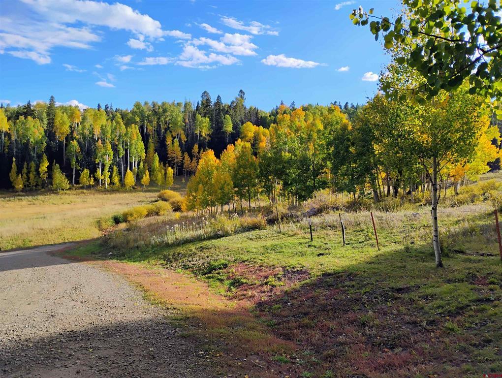 239 & 241 Spruce Glen Pagosa Springs CO 81147