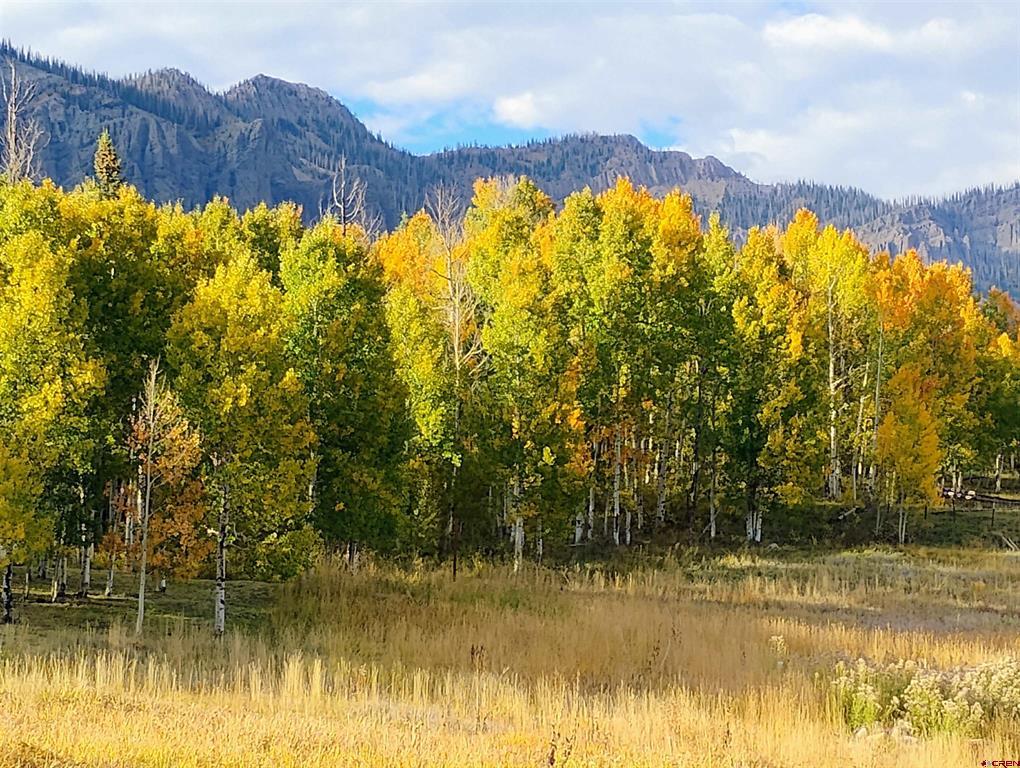 239 & 241 Spruce Glen Pagosa Springs CO 81147