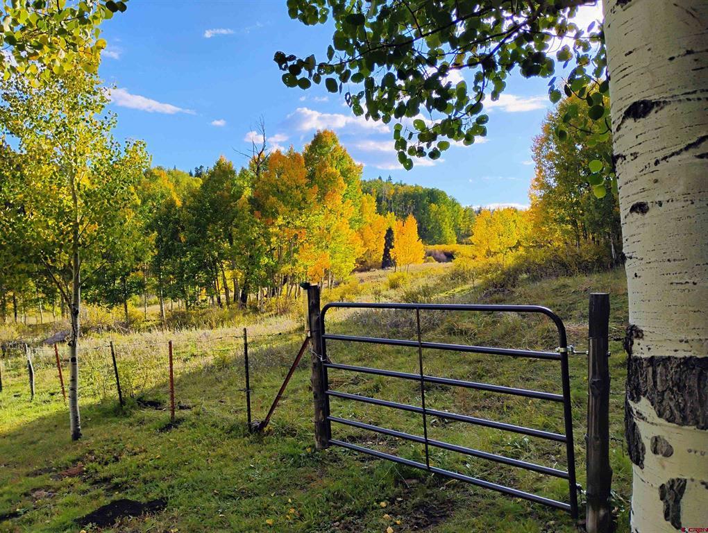 239 & 241 Spruce Glen Pagosa Springs CO 81147