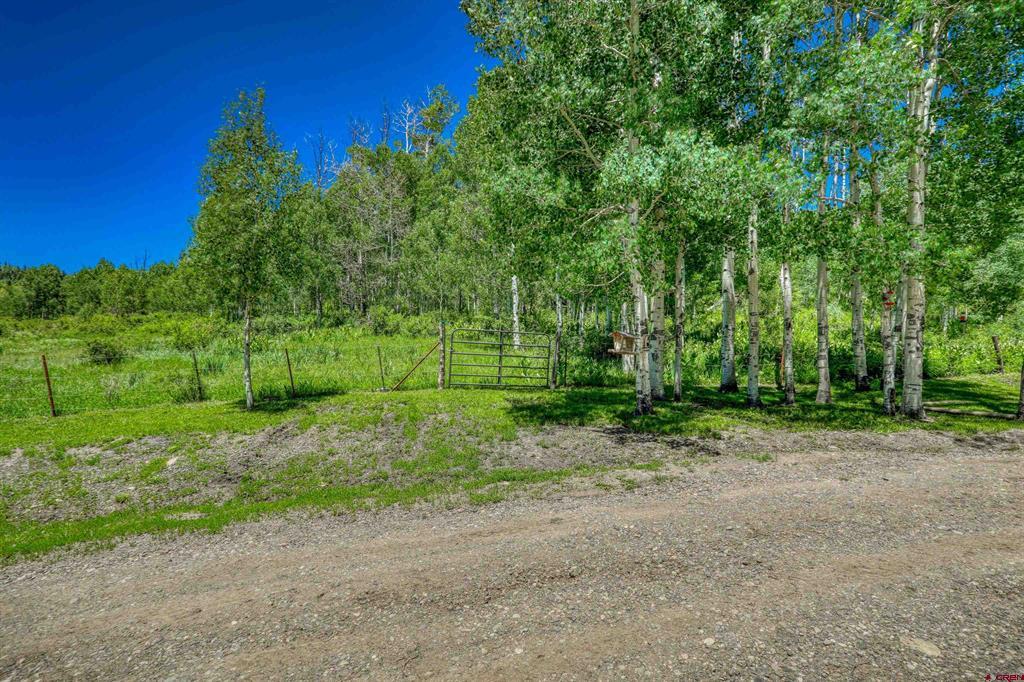 239 & 241 Spruce Glen Pagosa Springs CO 81147