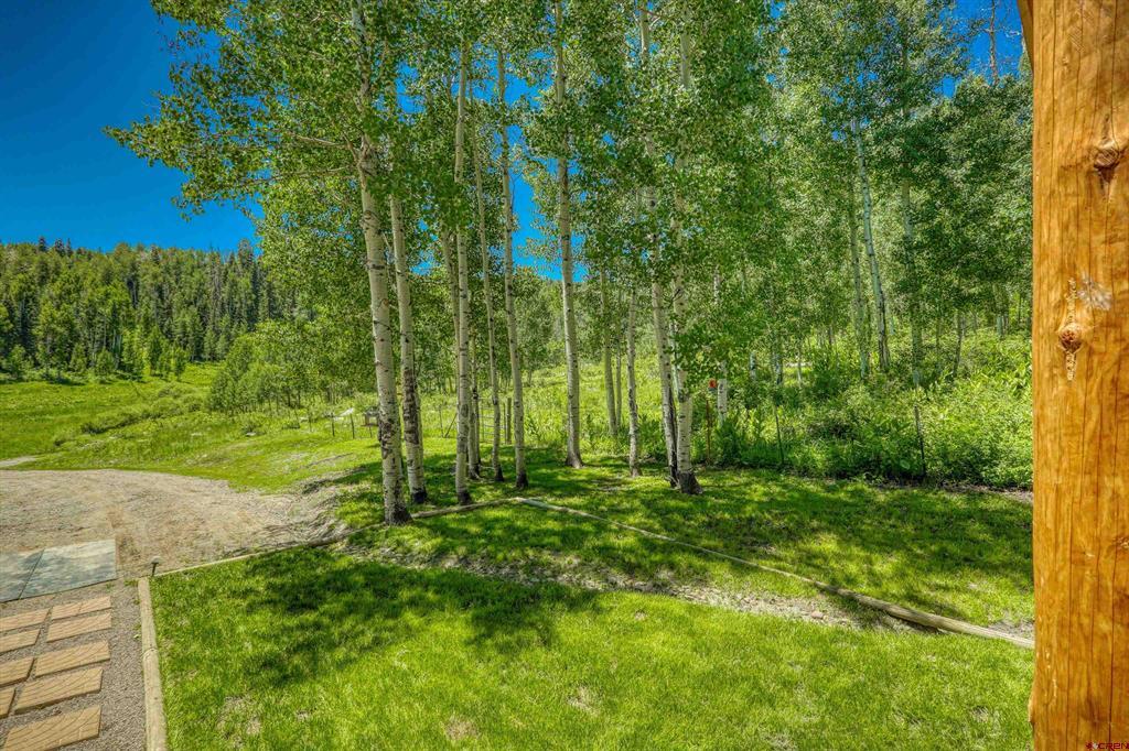 239 & 241 Spruce Glen Pagosa Springs CO 81147