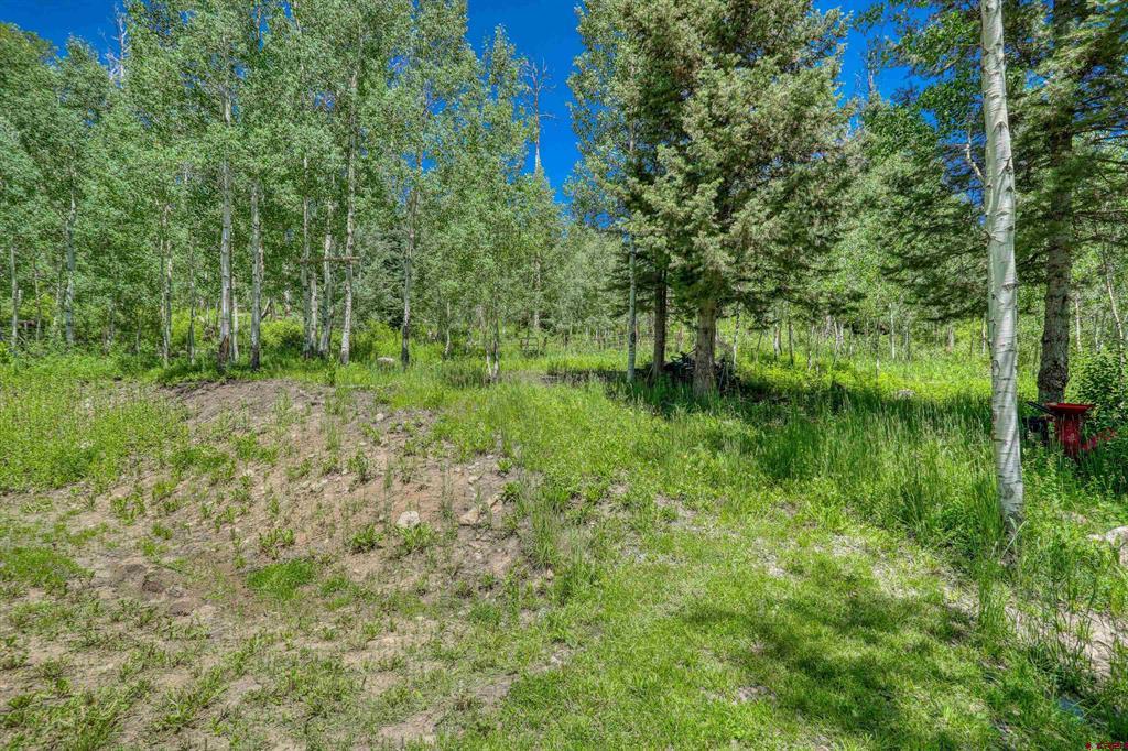239 & 241 Spruce Glen Pagosa Springs CO 81147
