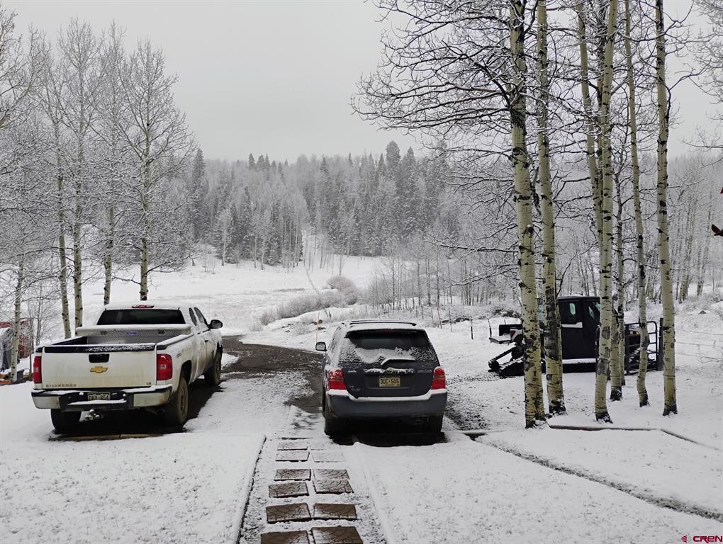239 & 241 Spruce Glen Pagosa Springs CO 81147