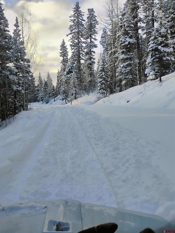 239 & 241 Spruce Glen Pagosa Springs CO 81147