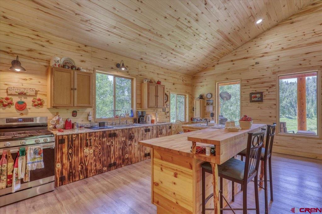 239 & 241 Spruce Glen Pagosa Springs CO 81147