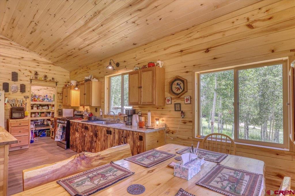 239 & 241 Spruce Glen Pagosa Springs CO 81147