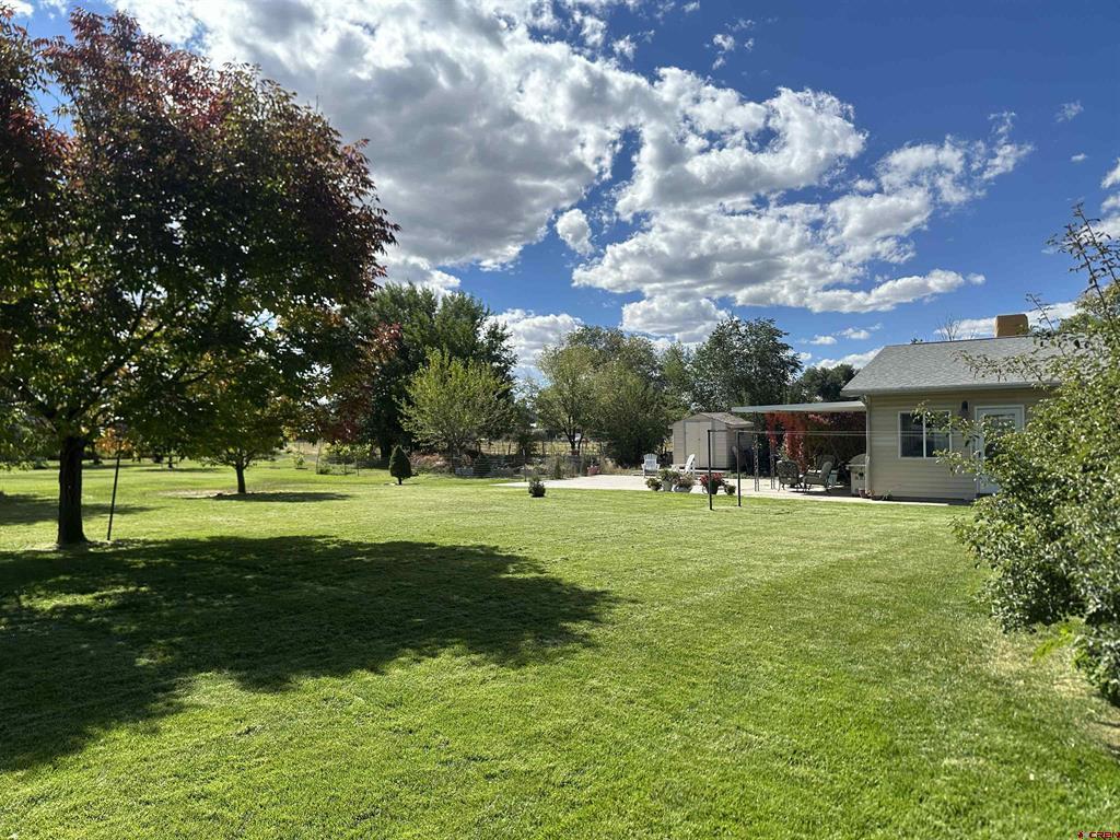 644 Orchard Road Montrose CO 81403